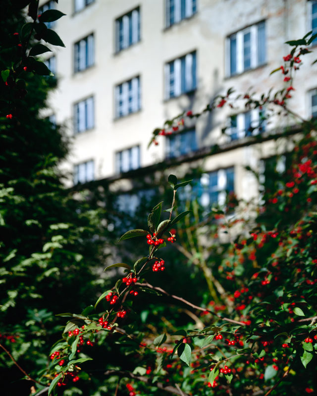 Photographie d'architecture : Prora