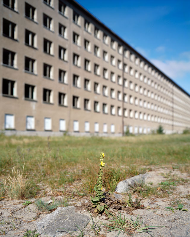 Photographie d'architecture : Prora