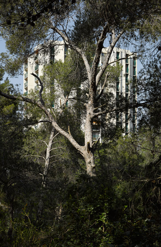 photographie d'architecture Livre Marseille Vertical David Giancatarina